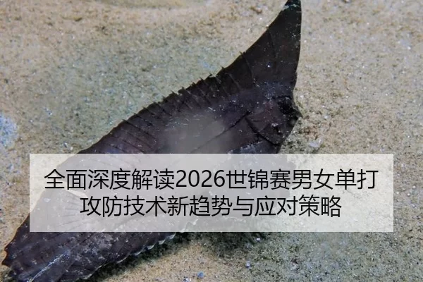 全面深度解读2026世锦赛男女单打攻防技术新趋势与应对策略